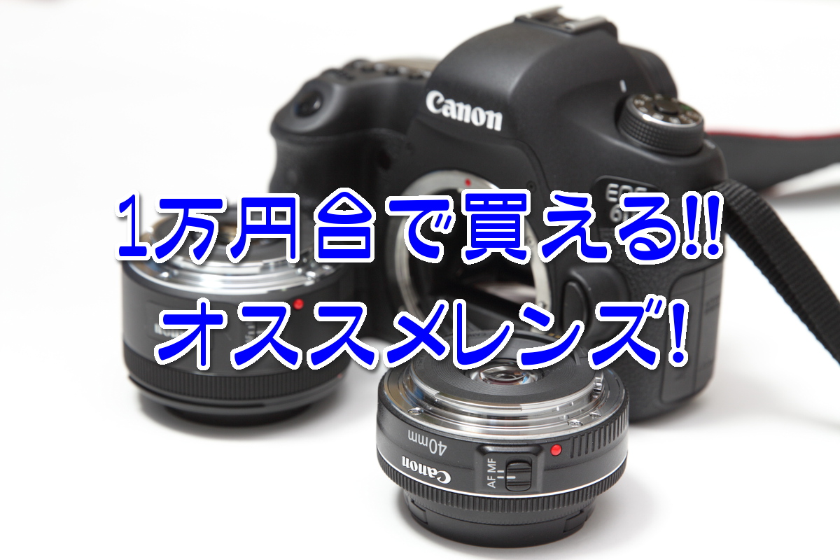 カメラ その他 １万円台で買える！キヤノンのオススメ単焦点レンズ３選！ | てぴっくす