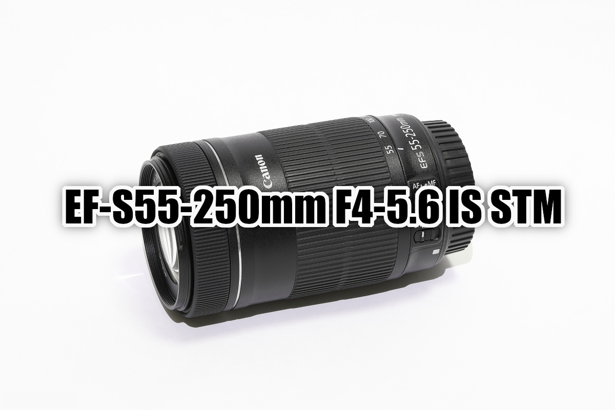 キャノン EF-S55-250mm F4-5.6 IS STM フィルター付き! 多様な - レンズ(ズーム)