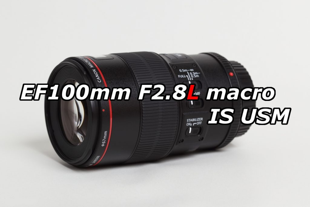 EF100F2.8Lマクロ IS USM+karuniamitra.co.id