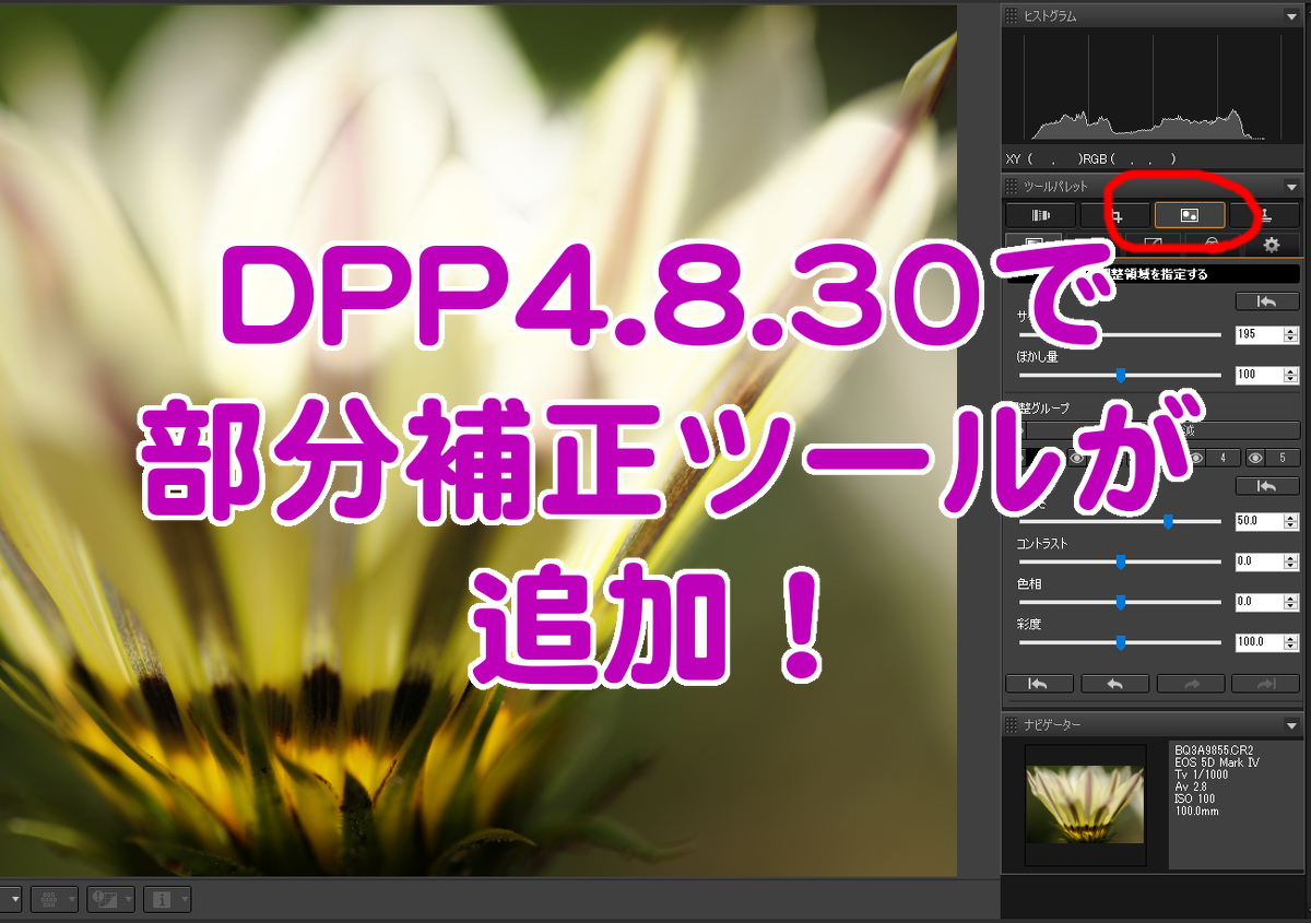 キヤノンのraw現像ソフトdppが更新 部分補正が可能に てぴっくす