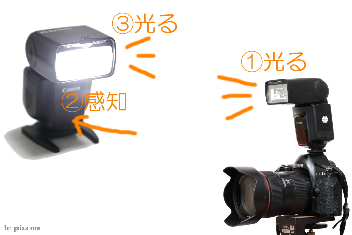 日本直販 YONGNUO 一眼レフカメラ コマンダー ストロボ2灯 その他