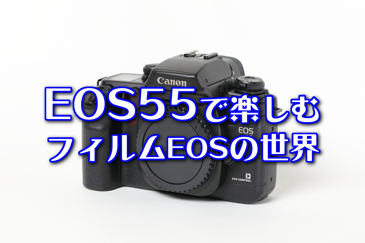 キヤノンのフィルム一眼「EOS55」を4,000円で購入！ | てぴっくす